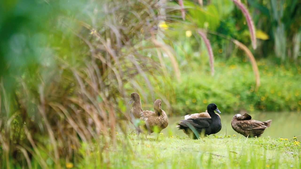 Photo of Outdoor in Pai