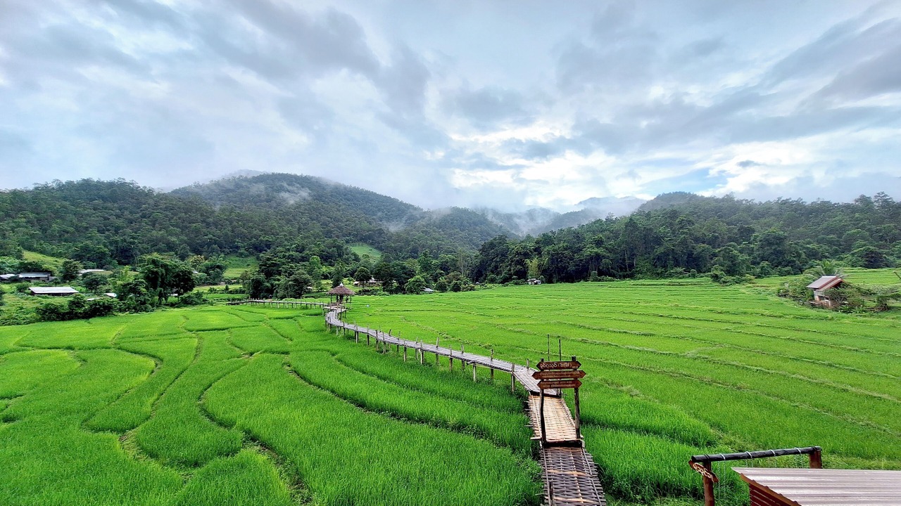 Photo of Others in Pai