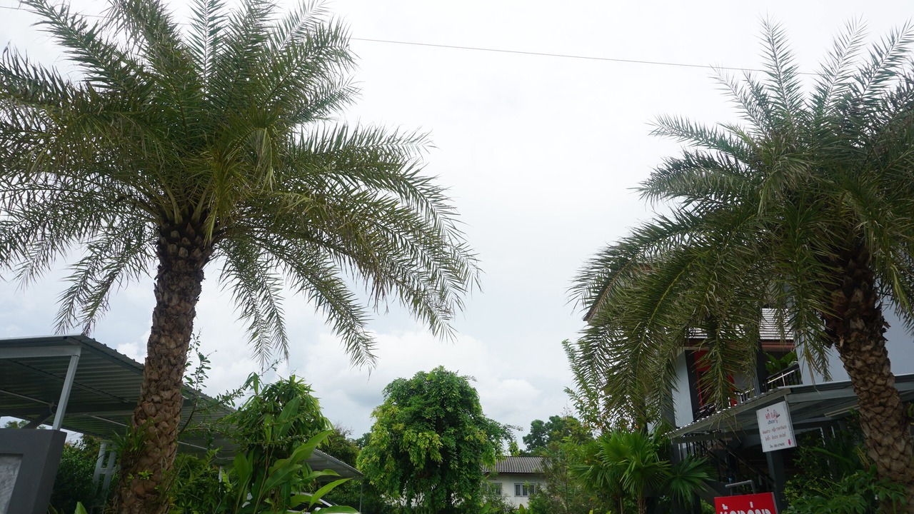 Photo of Others in Hat Yai