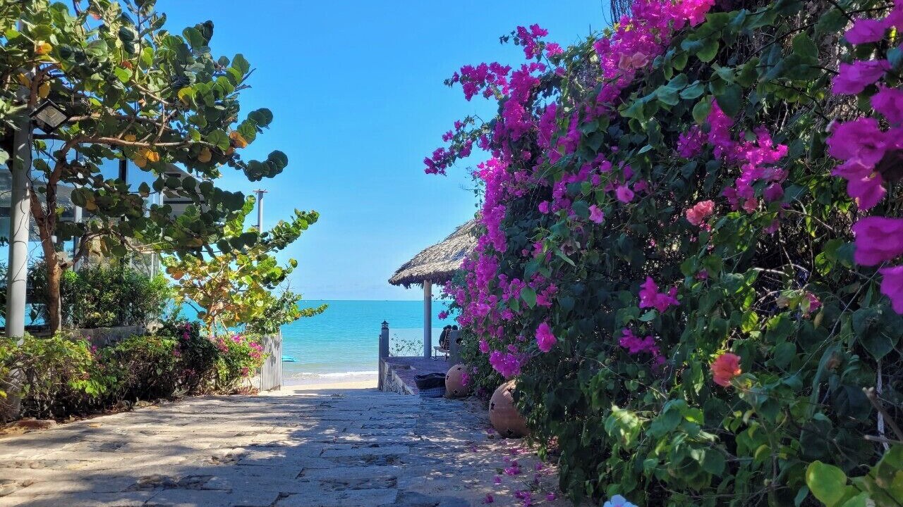 Photo of Others in Long Hai
