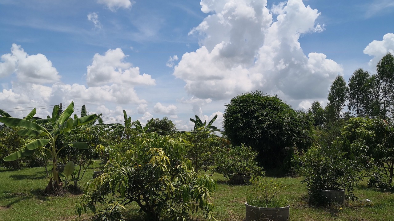Photo of Outdoor in Na Klang