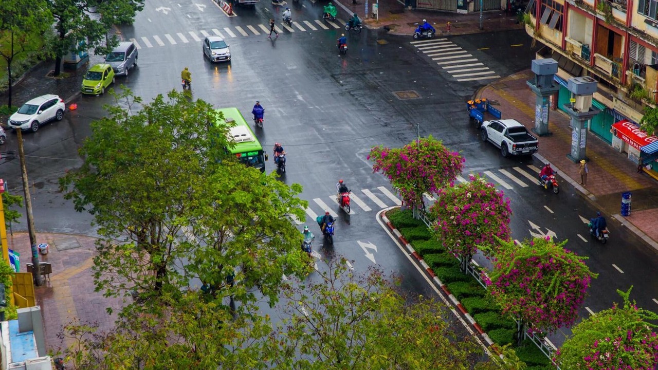 Photo of Outdoor in District 4