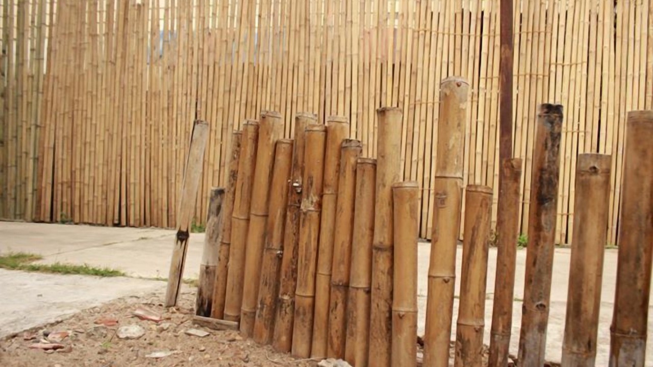 Photo of Outdoor in Savannakhet