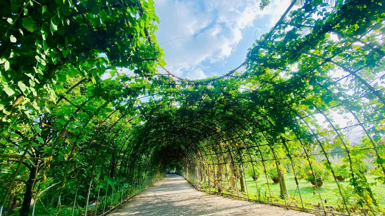 Photo of Outdoor in Chau Thanh