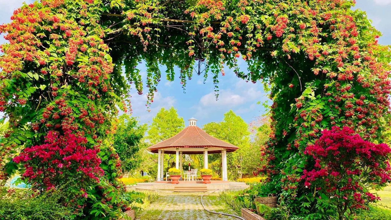 Photo of Outdoor in Chau Thanh