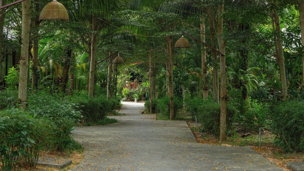 Photo of Outdoor in Ong Lang