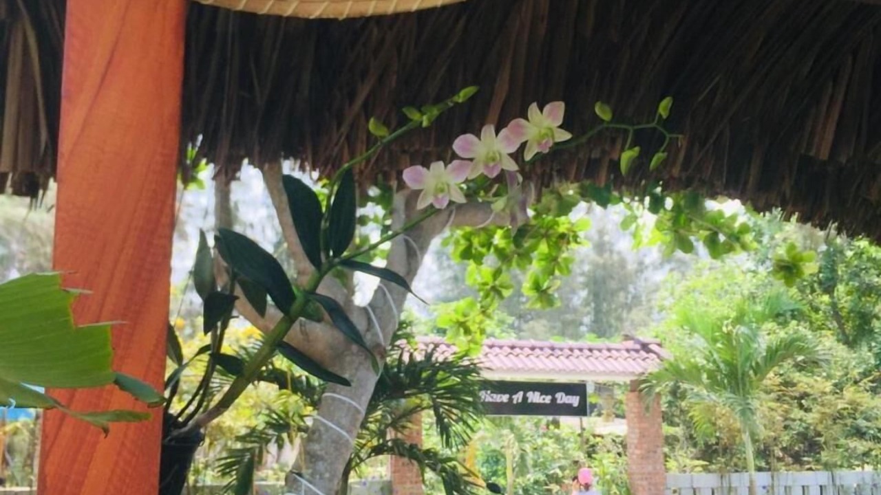 Photo of Outdoor in Dien Duong