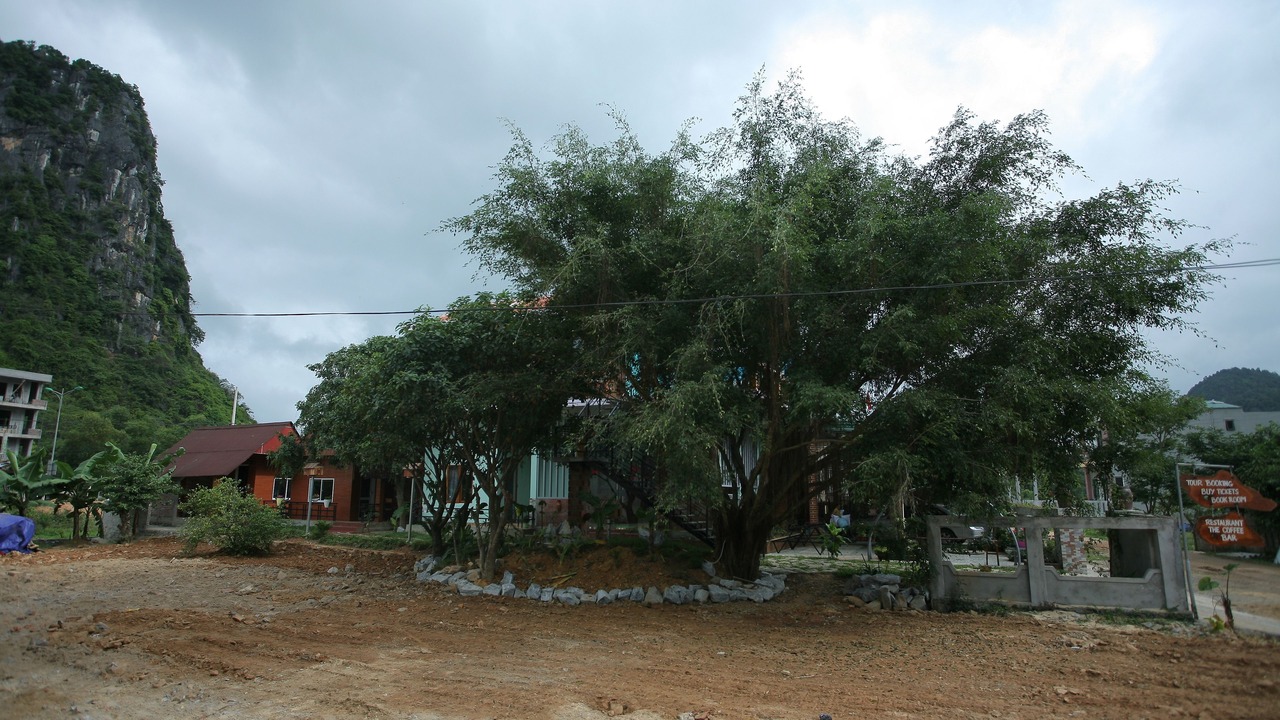 Photo of Outdoor in Son Trach