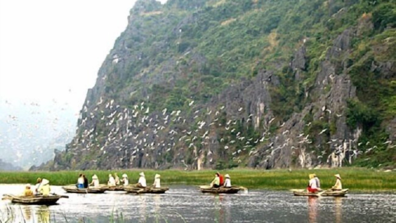 Photo of Others in Đong Thanh