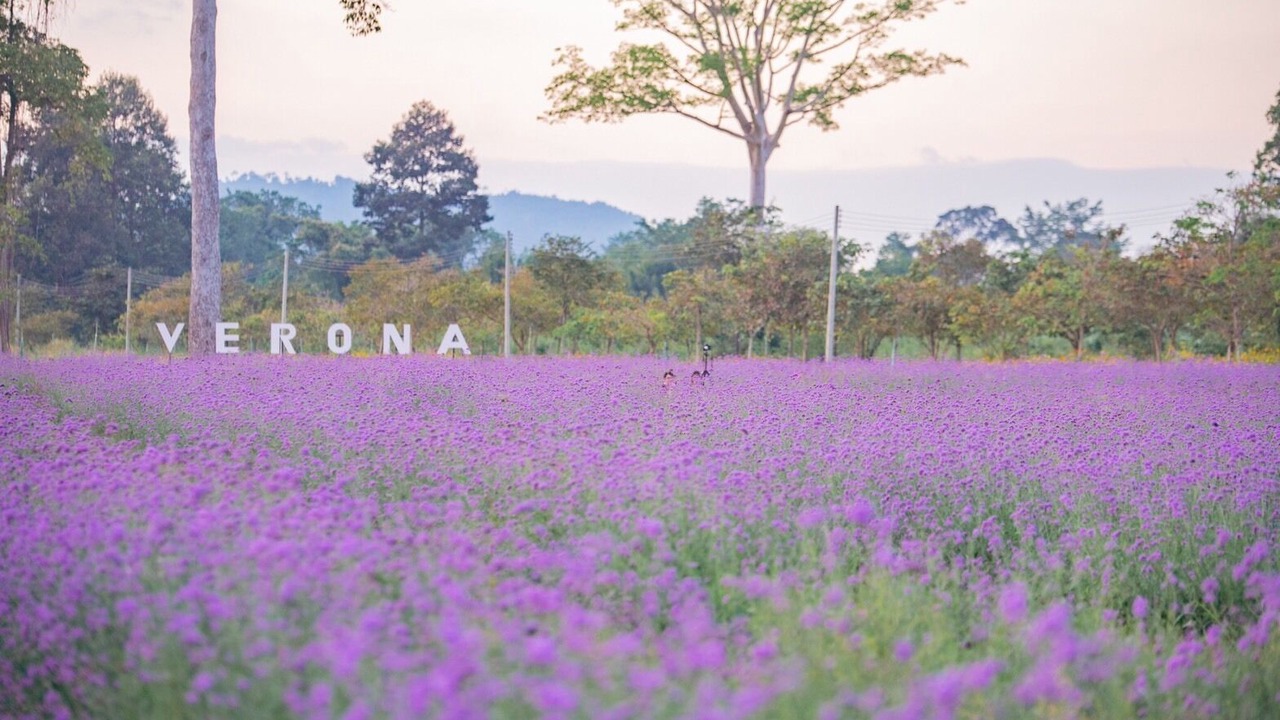 Photo of Outdoor in Na Di