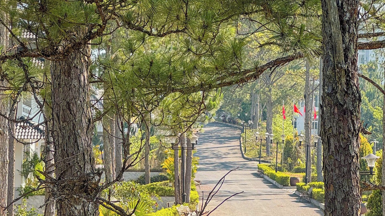 Photo of Others in Lac Duong