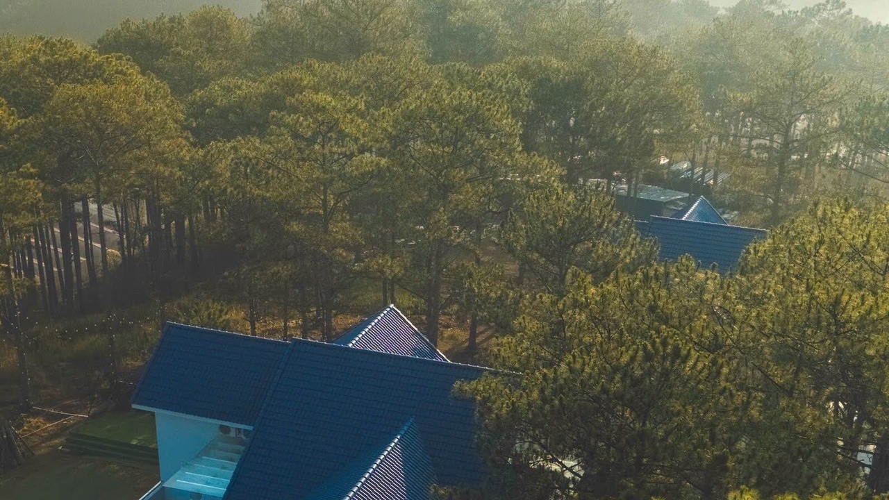 Photo of Others in Lac Duong