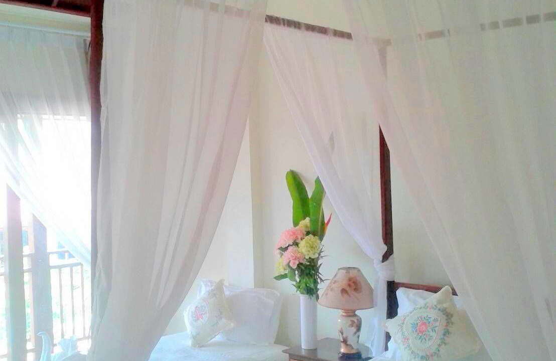 Photo of Outdoor in Chiang Khong