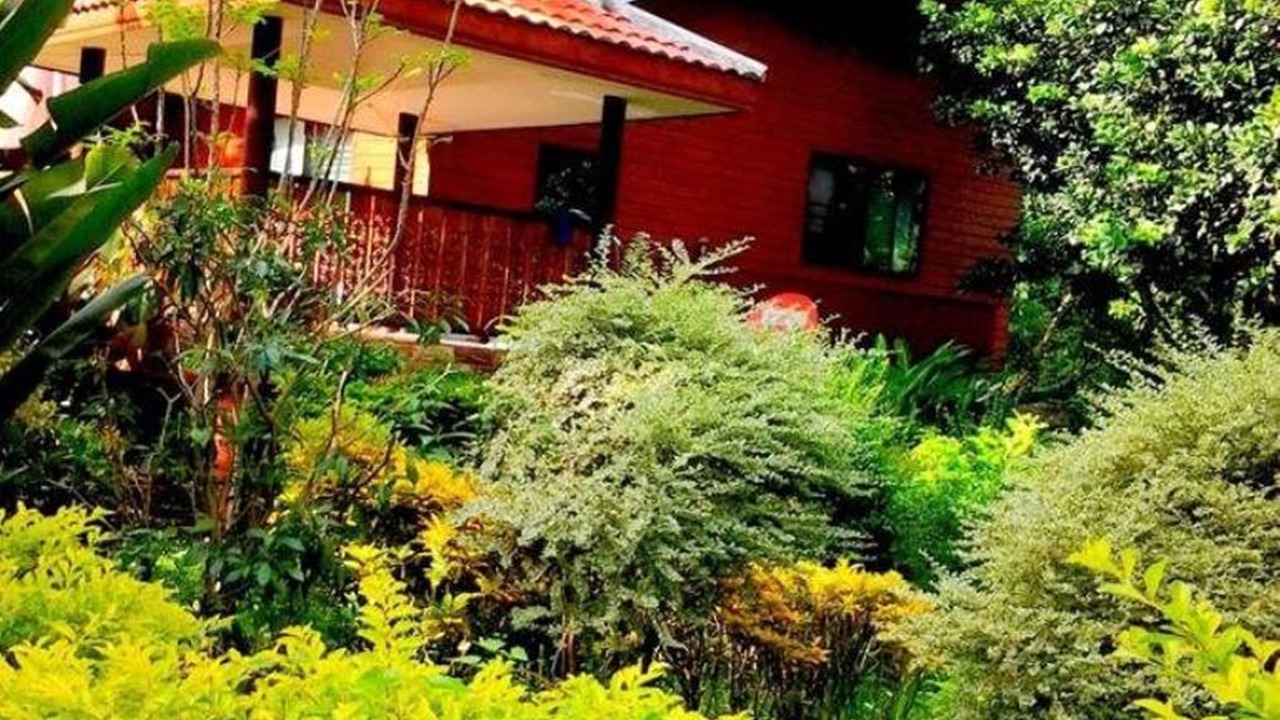 Photo of Outdoor in Chiang Khong