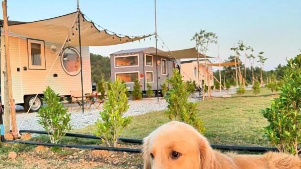 Photo of Outdoor in Thung Khwai Kin
