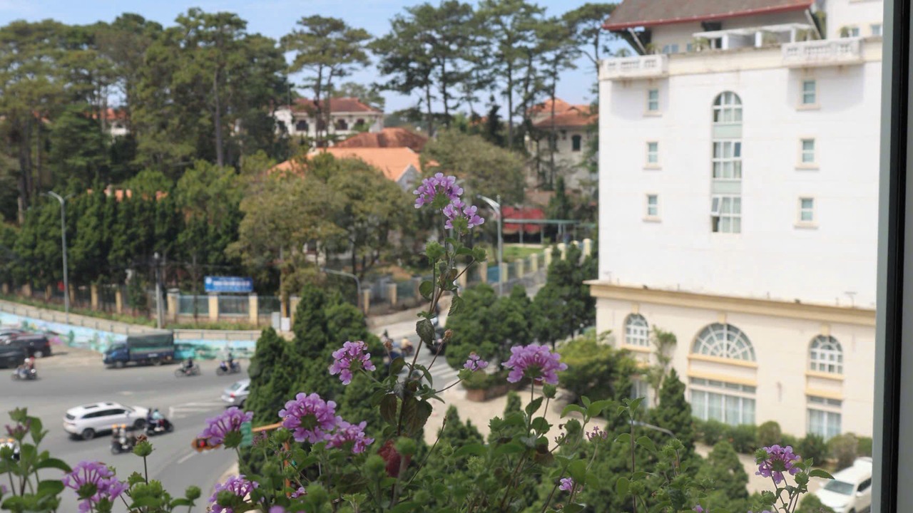 Photo of Others in Da Lat