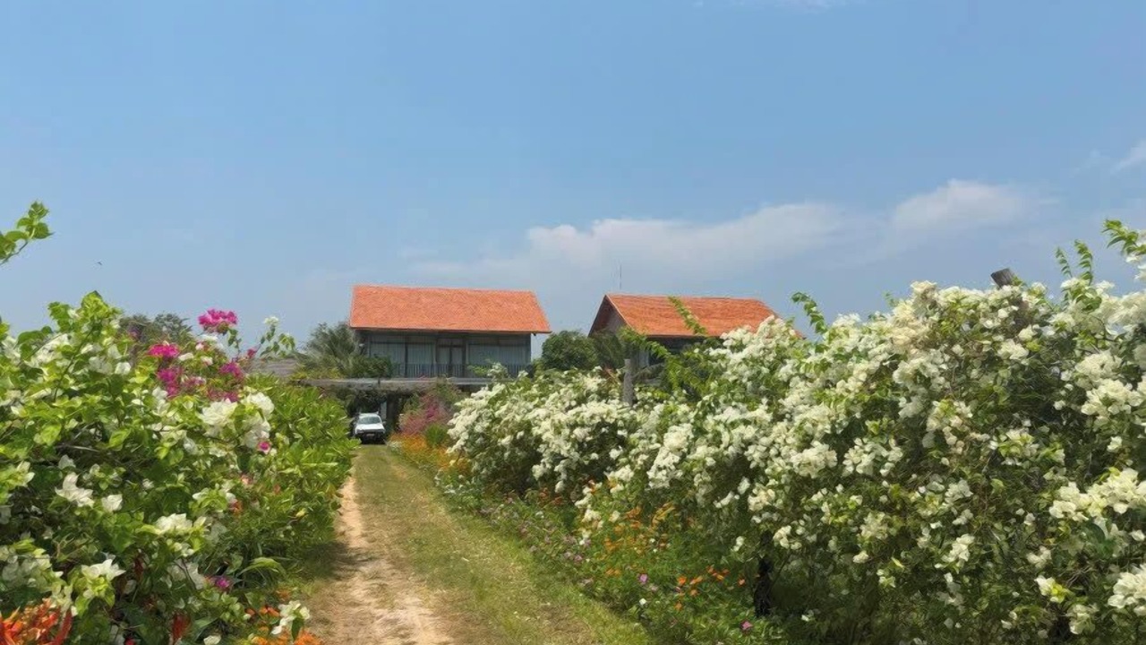 Photo of Outdoor in Phuoc Thuan