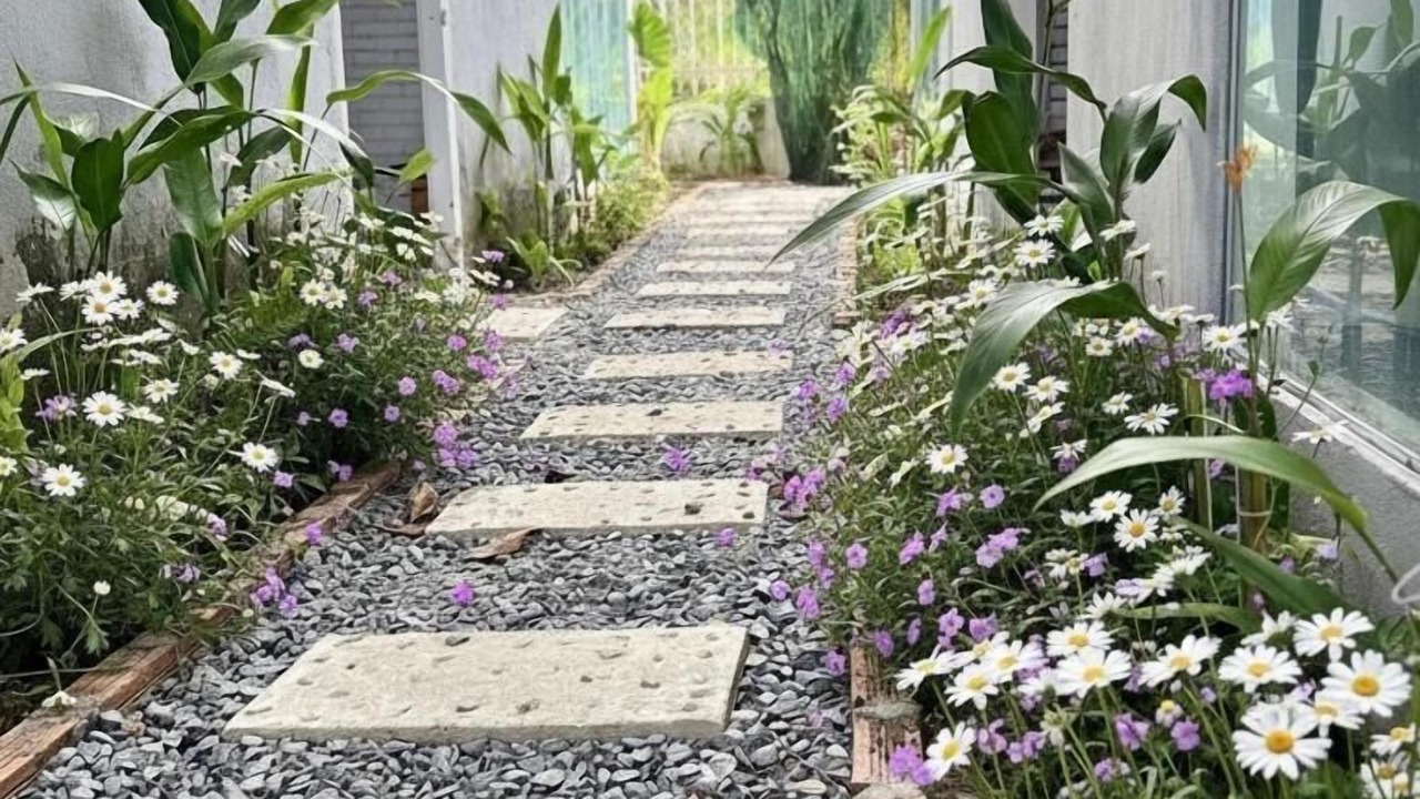 Photo of Outdoor in Duc Hoa