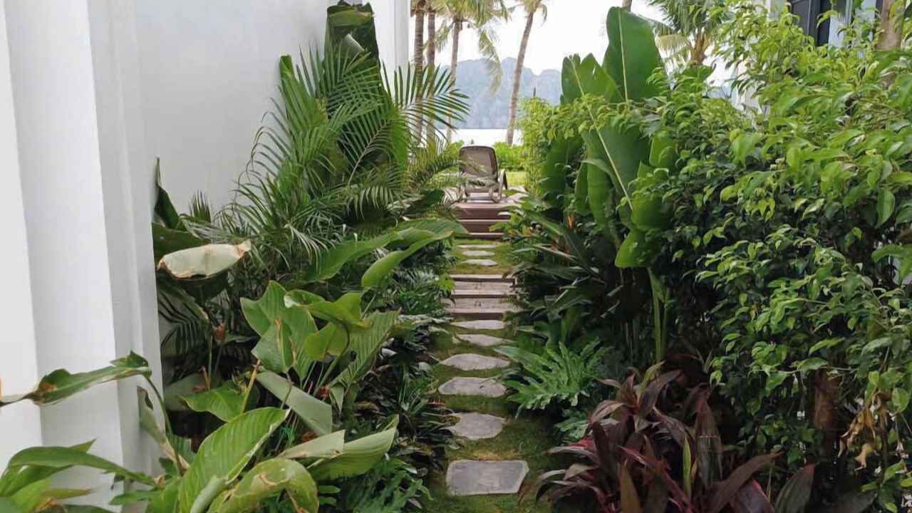 Photo of Outdoor in Van Don