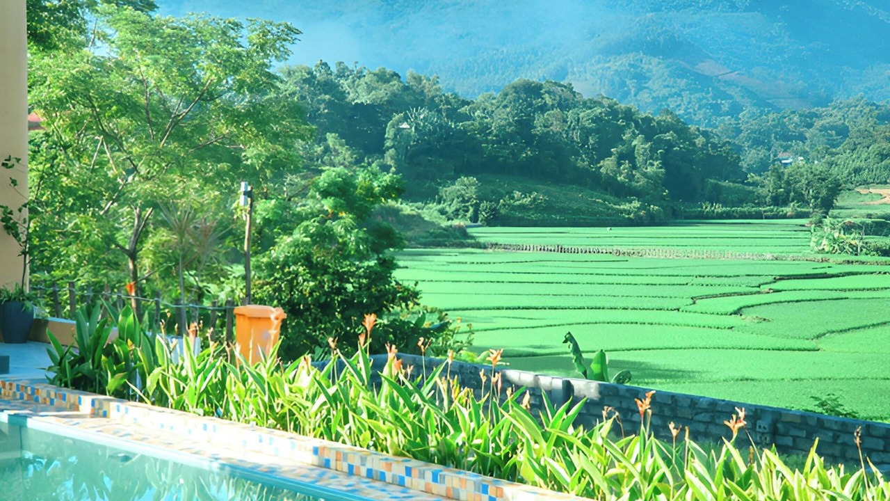 Photo of Others in Kim Boi