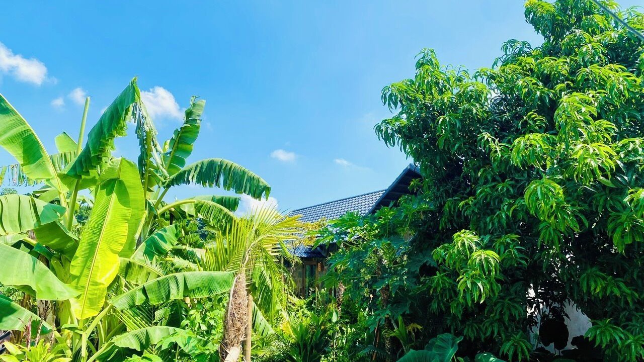 Photo of Outdoor in Hoa Lu