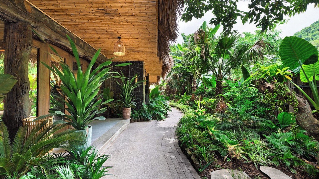 Photo of Outdoor in Hoa Lu
