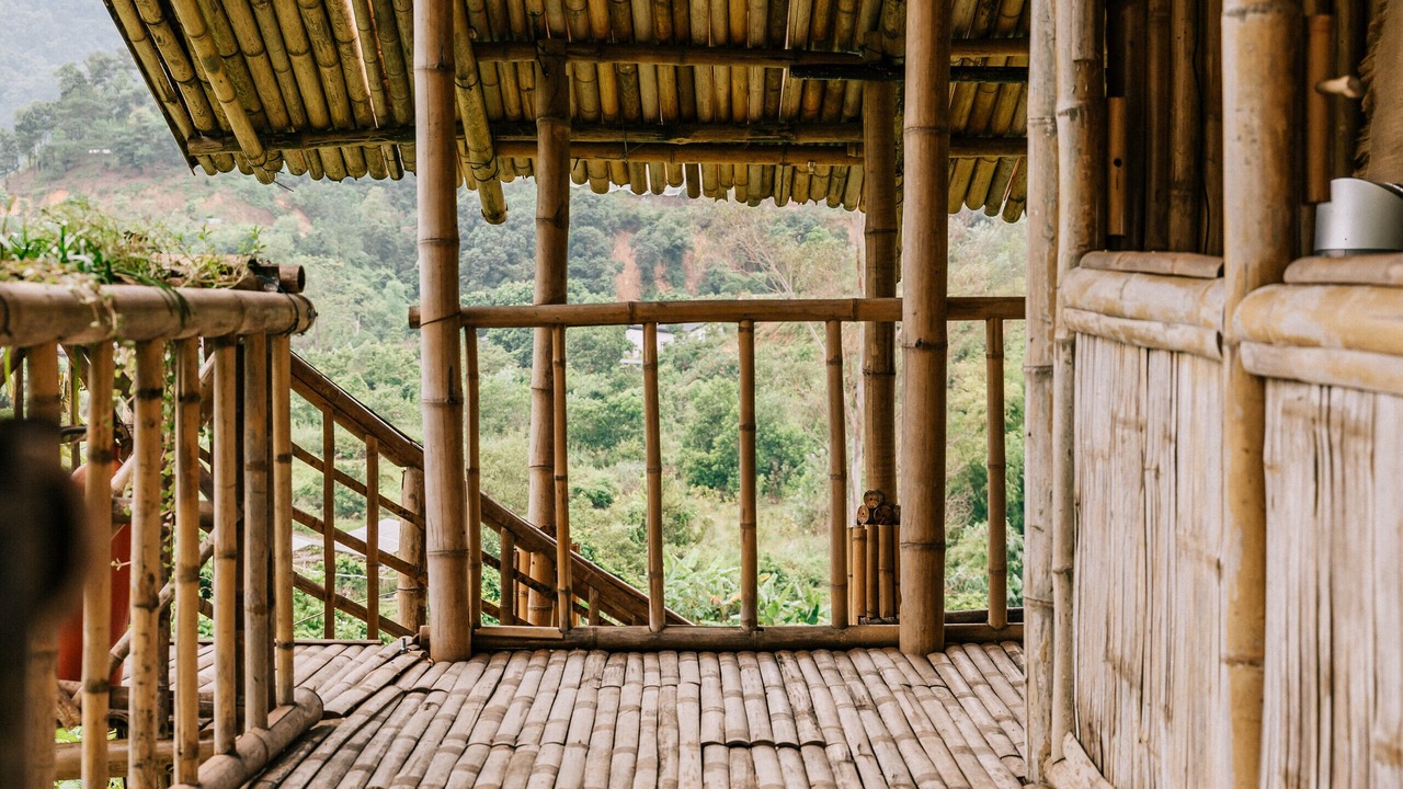 Photo of Outdoor in Soc Son
