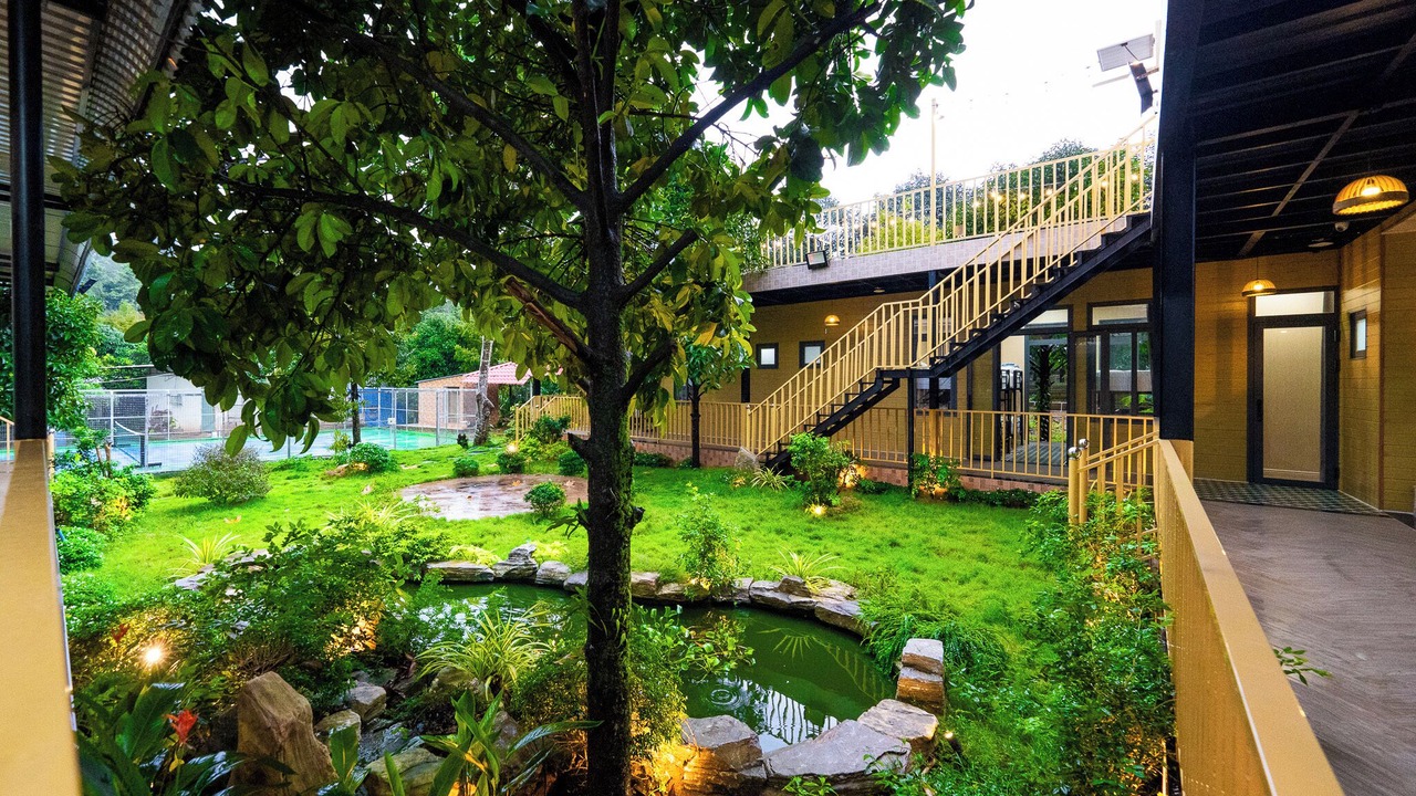 Photo of Outdoor in Mang Yang