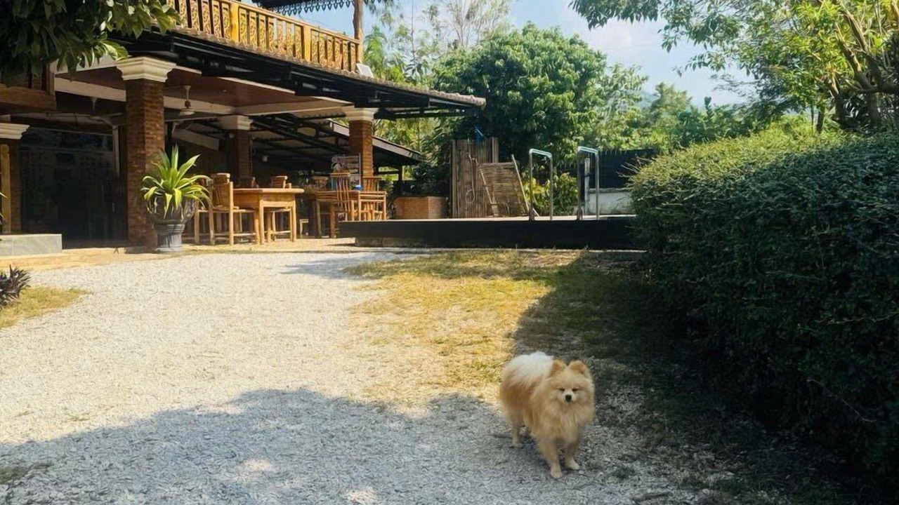 Photo of Outdoor in Vang Vieng