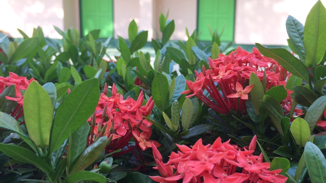 Photo of Outdoor in Downtown Krabi