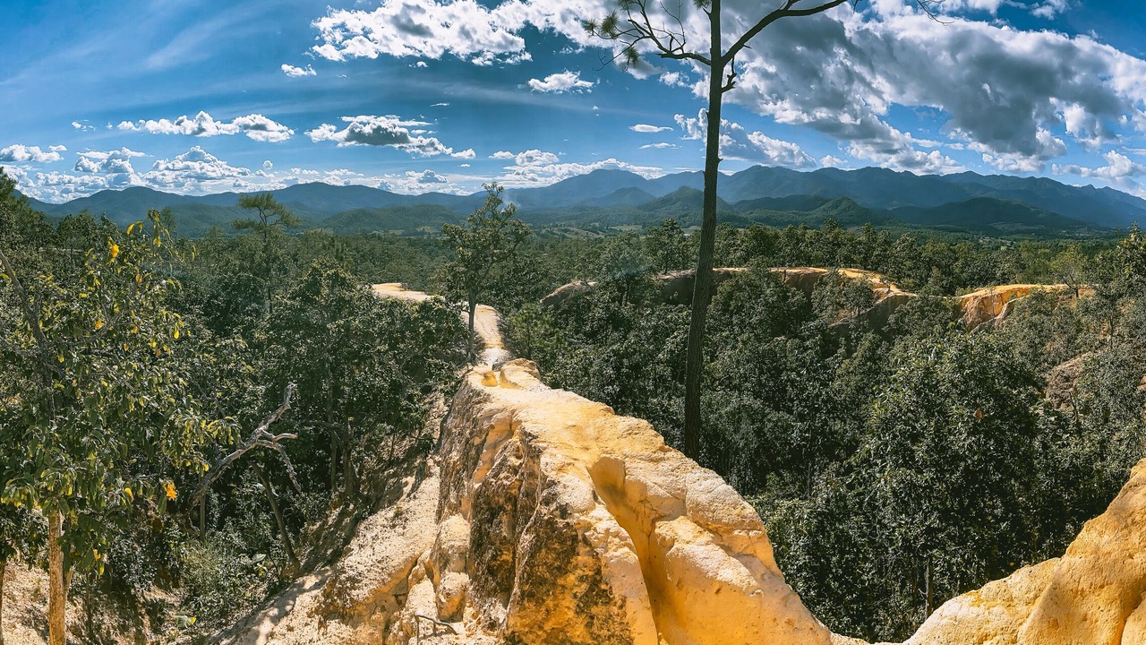 Photo of Others in Pai