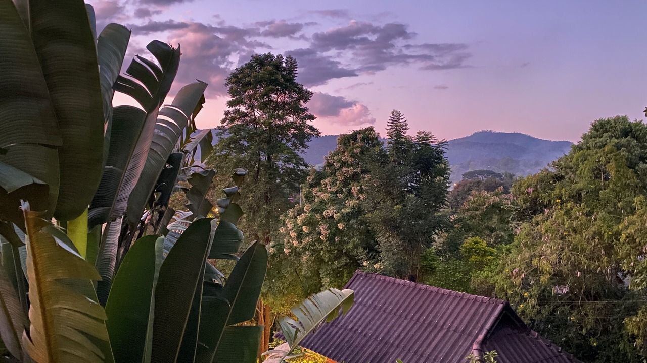 Photo of Others in Pai
