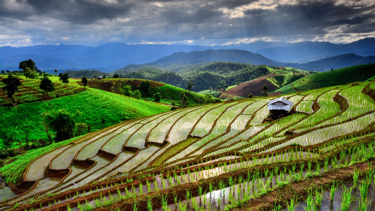 Photo of Others in Pai