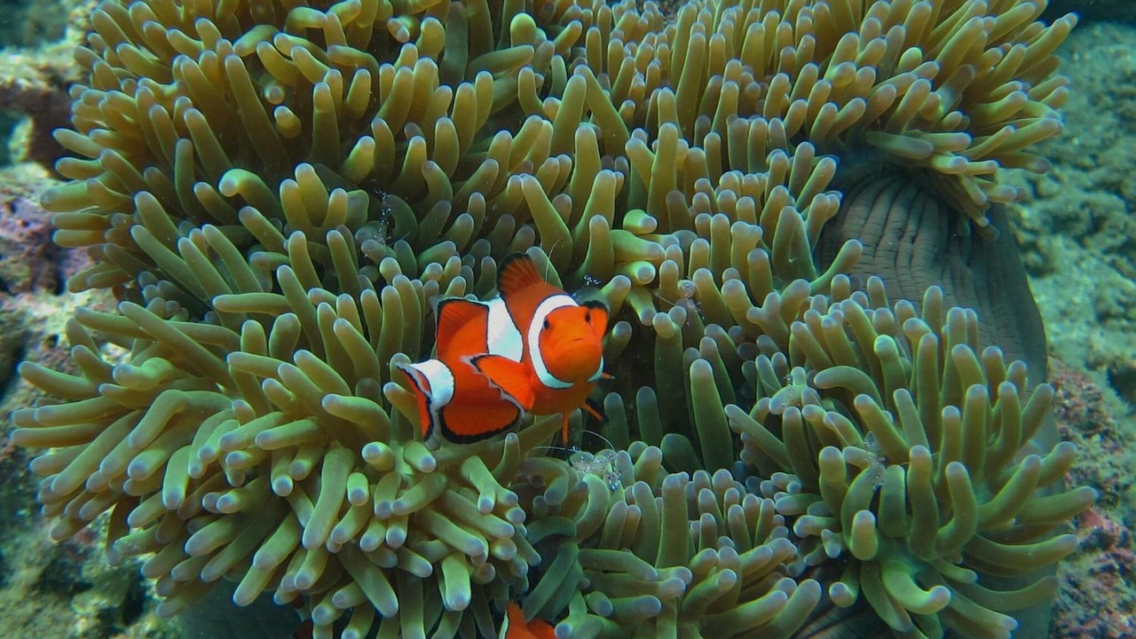 Photo of Outdoor in Satun
