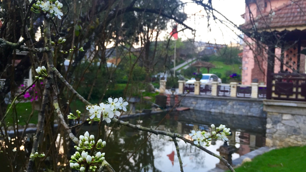 Photo of Outdoor in Cha Pai