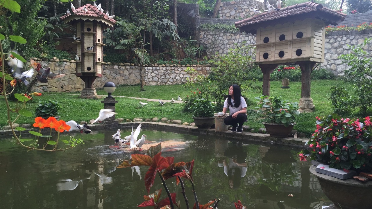 Photo of Outdoor in Cha Pai