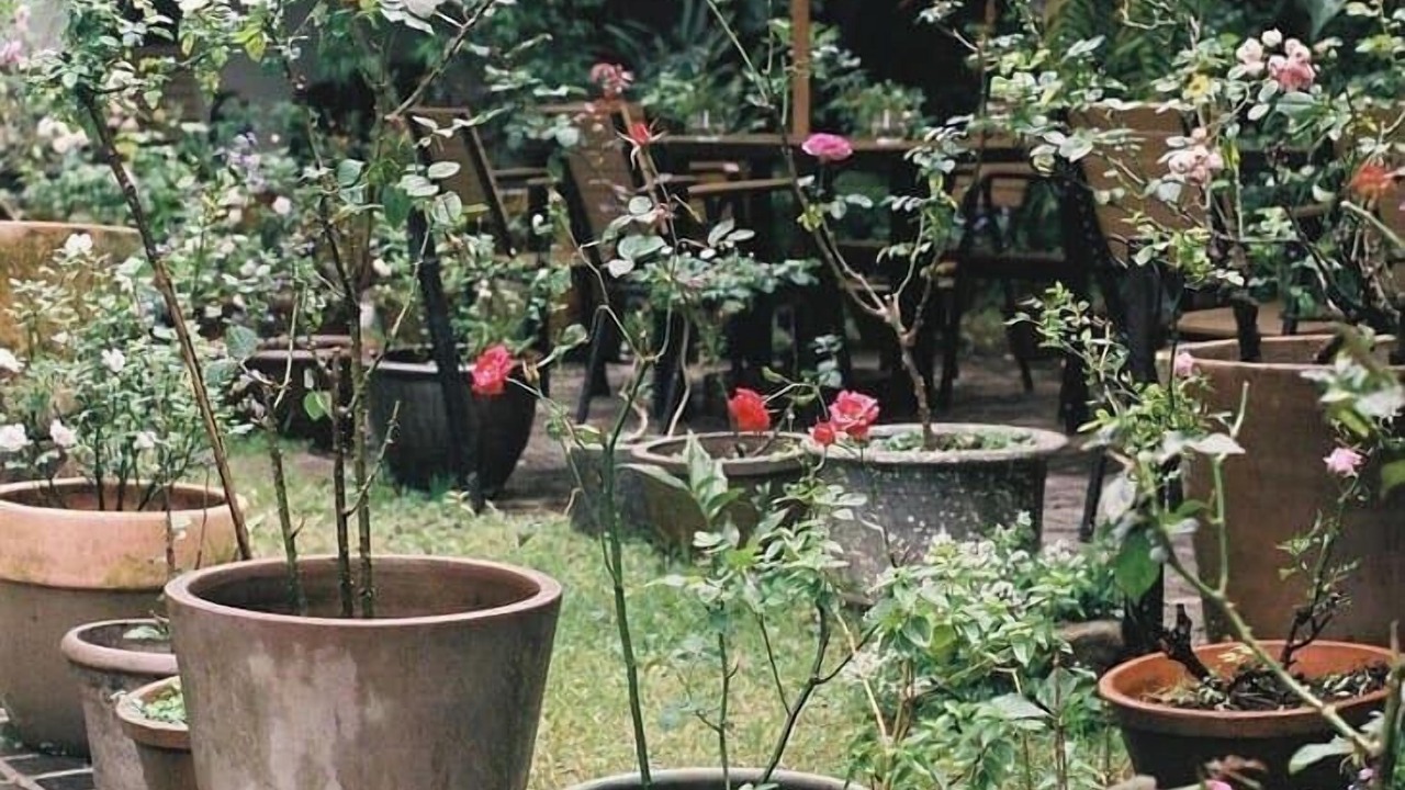 Photo of Outdoor in Da Lat