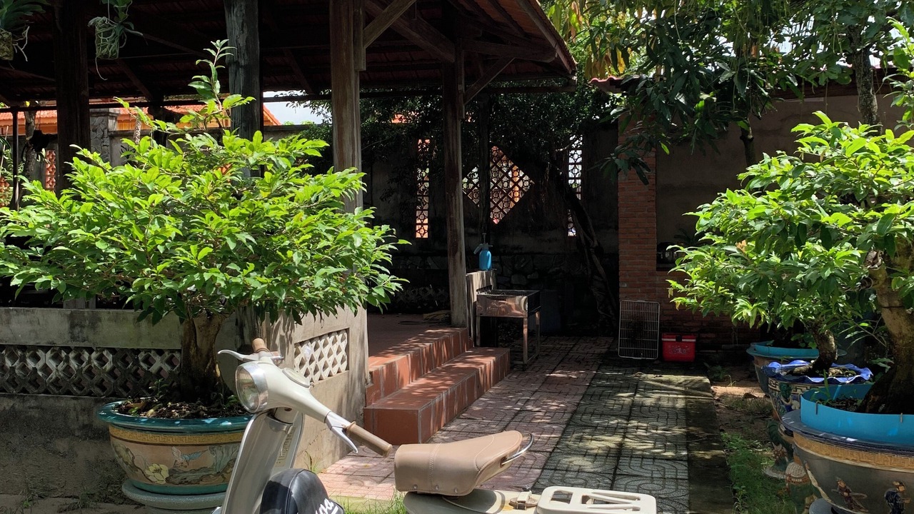Photo of Outdoor in Xuyen Moc