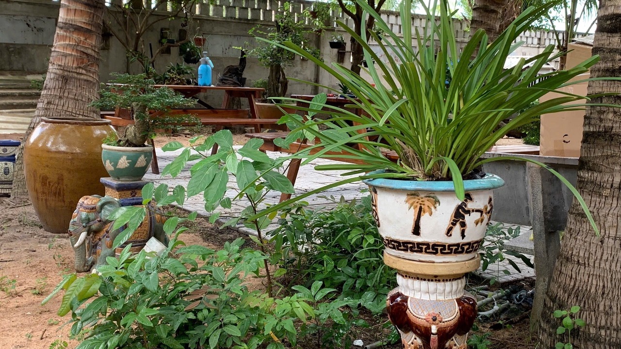 Photo of Outdoor in Xuyen Moc
