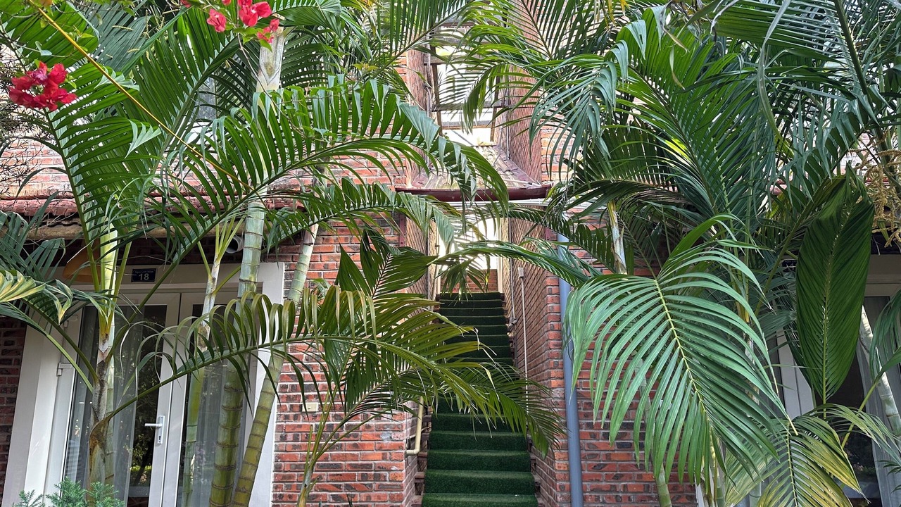 Photo of Outdoor in Hai Hoa