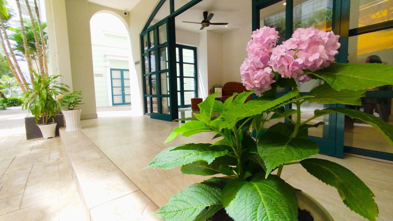 Photo of Outdoor in Duong To