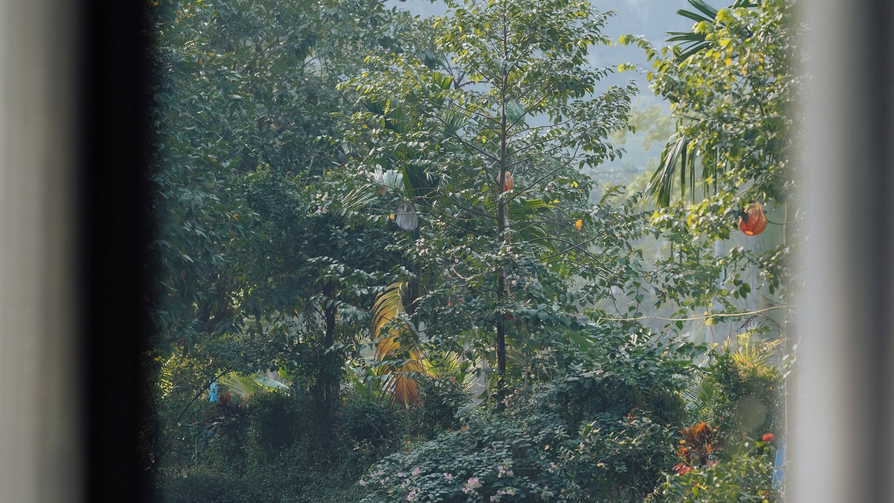 Photo of Others in Hoa Lu