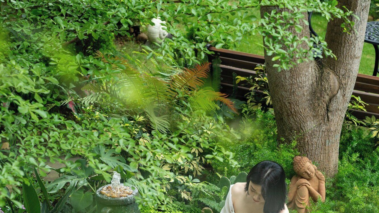 Photo of Outdoor in Phuc Yen