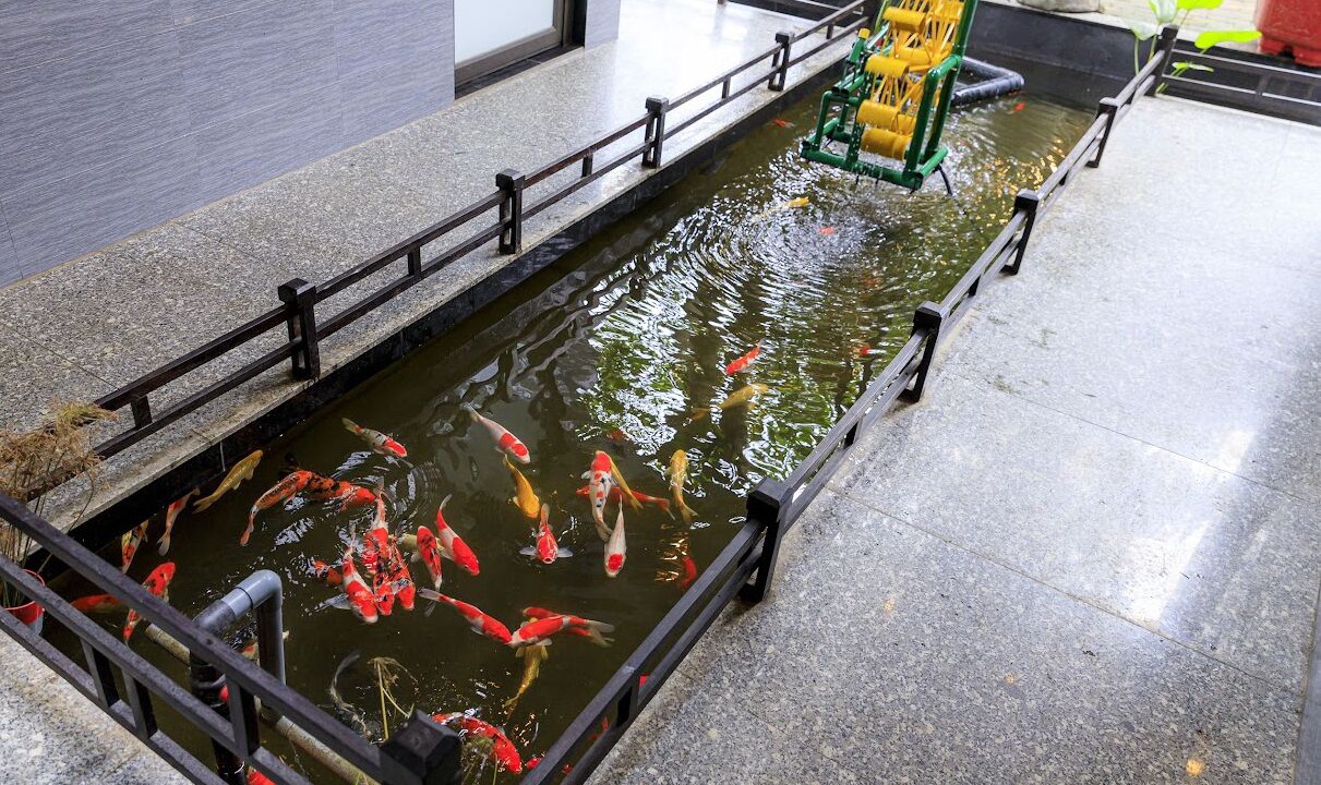 Photo of Outdoor in Hoa Lu