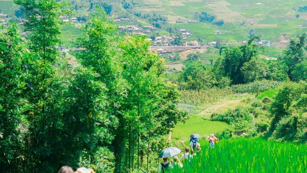 Photo of Others in Sa Pa