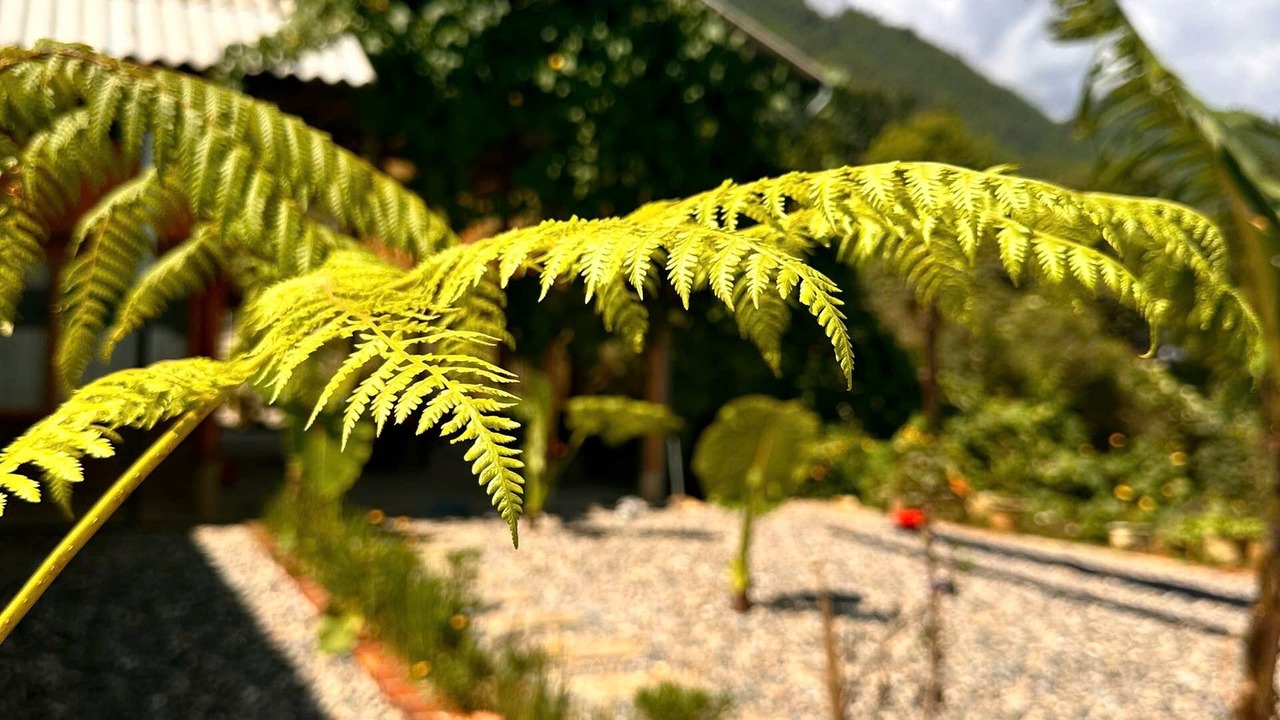 Photo of Outdoor in Sa Pa