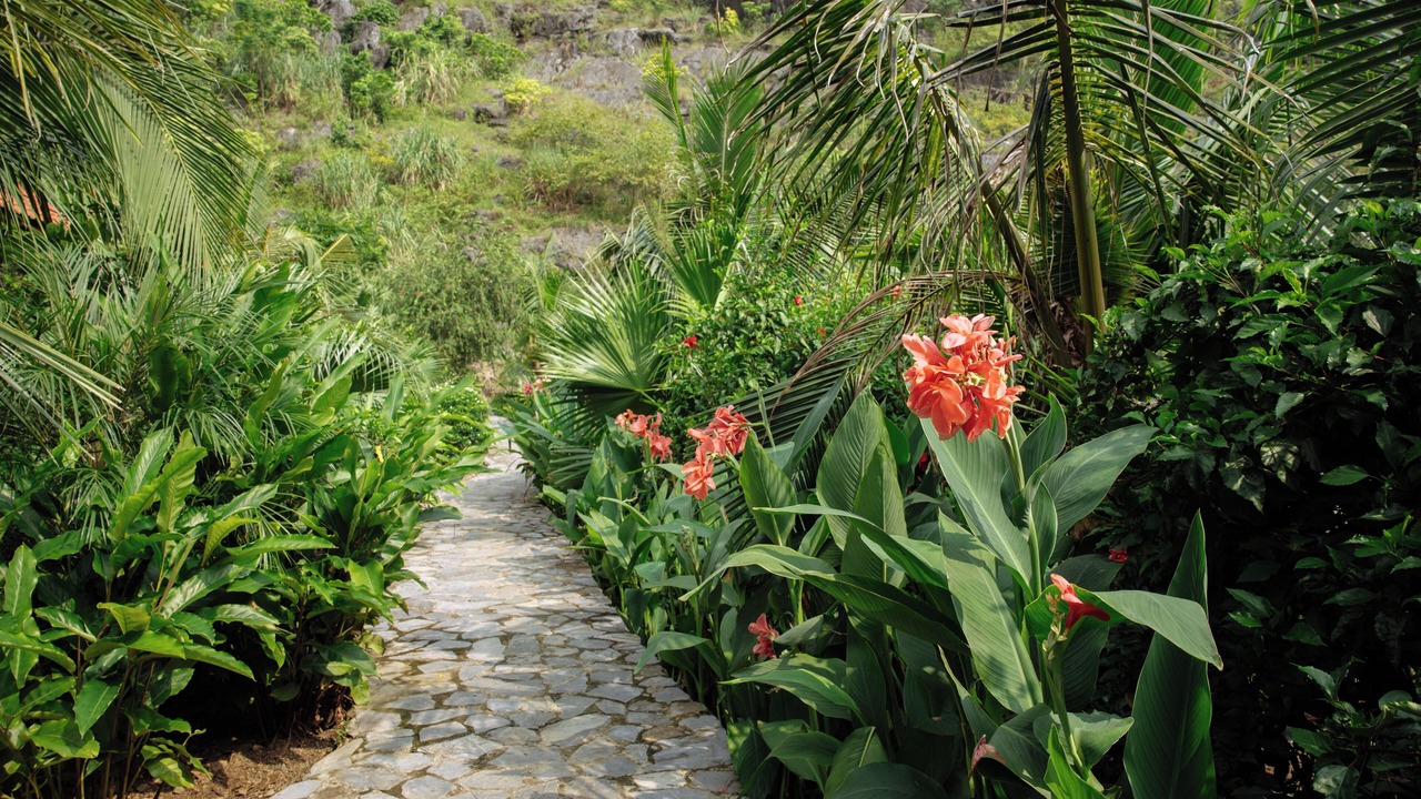 Photo of Outdoor in Hoa Lu
