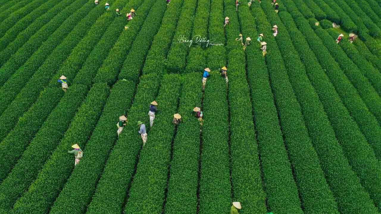 Photo of Others in Moc Chau