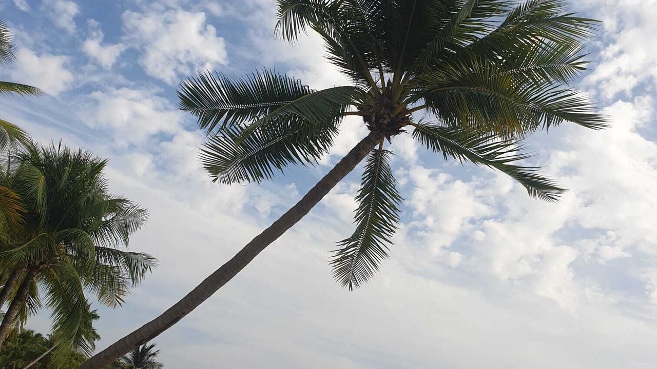 Photo of Outdoor in Duong To