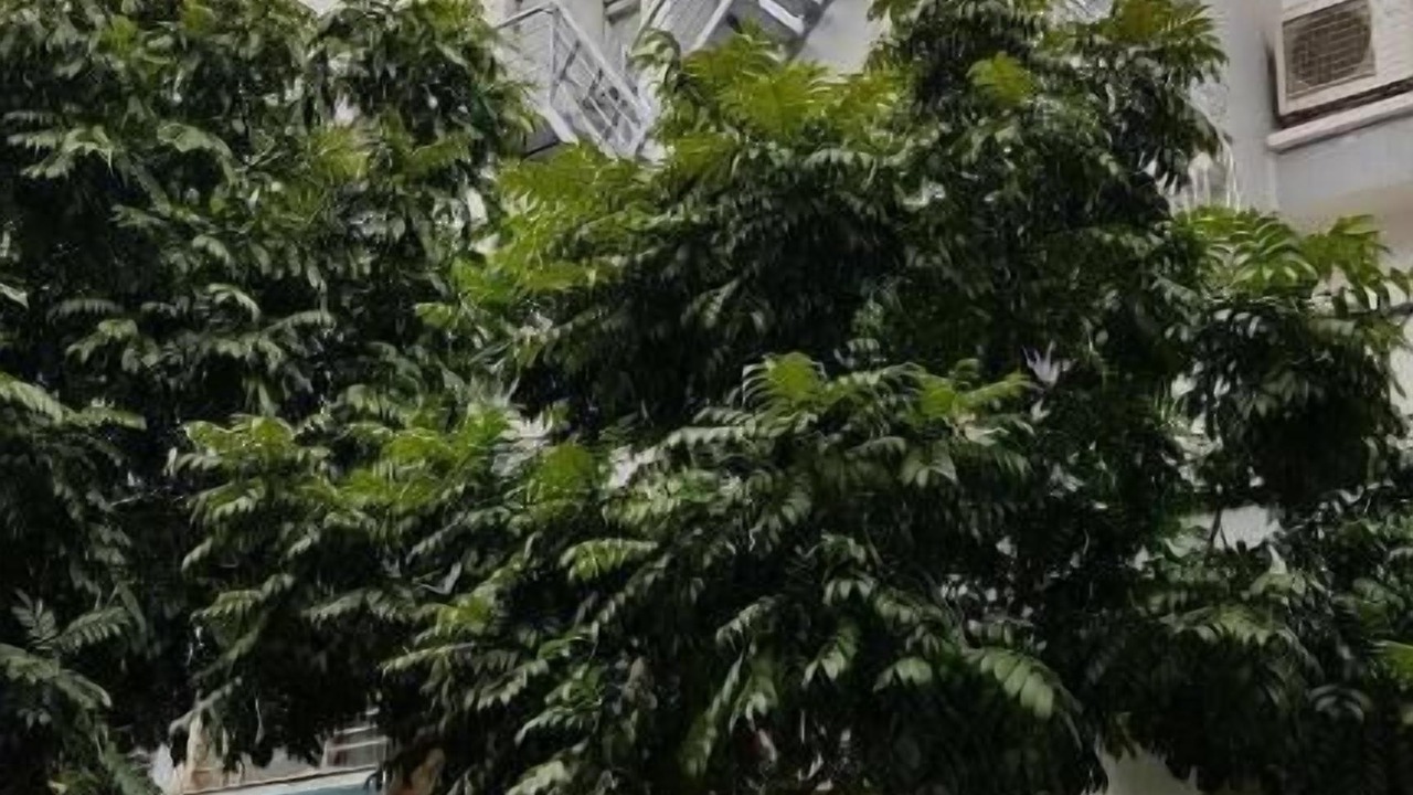 Photo of Outdoor in Ha Dong
